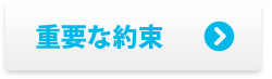 [重要な約束]へ進む